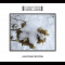 Collection D'Arnell-Andrea - Another Winter (CD)