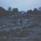 The Violent Youth - Distant (CD)