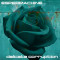 Espermachine - Delicate Corruption (CD)