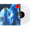 Buzz Kull - Fascination / Limited Clear Transparent Edition (12