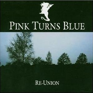 Pink Turns Blue - Re-union / Best Of (cd)
