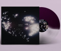 Hante. - Her Fall And Rise / Limited Half Violet Half Clear Edition (12" Vinyl)