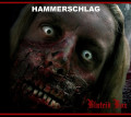 Hammerschlag - Bluteid Box / Limited Box Edition (CD)