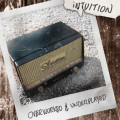 Intuition - Overworked and Underplayed (CD)