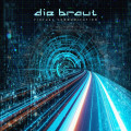 Die Braut - Virtual Communication (CD)