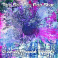The Stir Fry Pop Star - Groovebox Messiah Sessions (CD)
