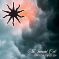 This Immortal Coil - The Dark Age Of Love / ReRelease (CD)