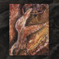 Coil - Swanyard / Unreleased Recordings (2CD)