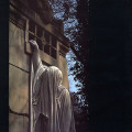 Dead Can Dance - Within The Realm Of A Dying Sun / ReRelease (12" Vinyl)