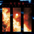 Numb - Wasted Sky / Limited Edition (12" Vinyl)