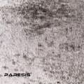 Paresis - That.Black.Form (EP CD)