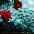 Sara Noxx feat. Mark Benecke - Where The Wild Roses Grow, Boy, Size L / Ultimate Fan Edition (Box)