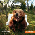 STandART - Autumn News (CD)
