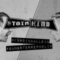 Steinkind - Für dich allein / Gangsterrepublik (12\" Vinyl + Download)