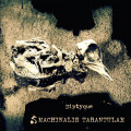 Machinalis Tarantulae - Diptyque (CD)