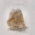 Various Artists - Plasmatic Mutation Compilation (2CD)