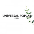 Universal Poplab - Seeds (CD)1