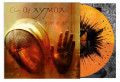 Clan Of Xymox - In Love We Trust / Limited 'Art Edition' (12" Vinyl)1