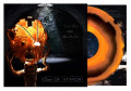 Clan Of Xymox - Days Of Black / Limited 'Art Edition' (12" Vinyl)1