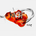 Kash - Herzflut (2CD)1