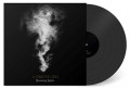A Sinister Light - Discerning Spirits / Limited Black Edition (12" Vinyl)