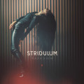 Stridulum - Paradigm (CD)