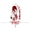 vProjekt - Wounds In The Age Of Healing / Limited 1st Edition (CD)1