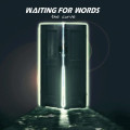 Waiting For Words - The Curve (EP CD)1