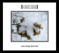 Collection D'Arnell-Andrea - Another Winter (CD)