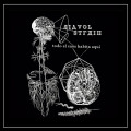 Diavol Strain - Todo el Caos Habita Aqui (CD)