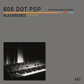 808 DOT POP - Blackbodies (dislocation) / Limited Edition (7" Vinyl)1