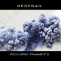 RecFrag - Recovered Fragments (CD)