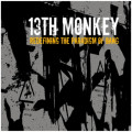 13th Monkey - Redefining The Paradigm Of Bang (CD)
