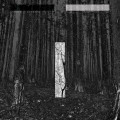 Chris Liebing - Another Day / Limited Black (vorher Transparent) Edition (2x 12" Vinyl)