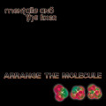 Mentallo and the Fixer - Arrange The Molecule (CD)