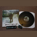 Terrolokaust - Scars That Never Heal / Limited Edition (12" Vinyl + MP3)