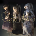 Unto Ashes - Pretty Haunted Things (CD)